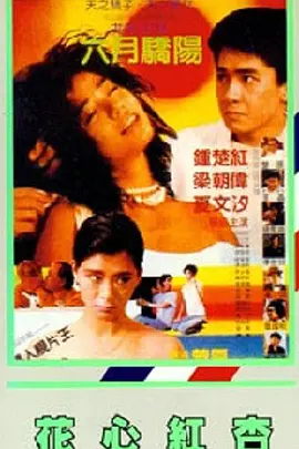少妇打晨炮口述